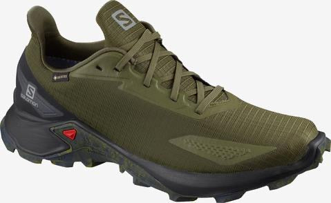 Salomon M Alphacross Blast GTX